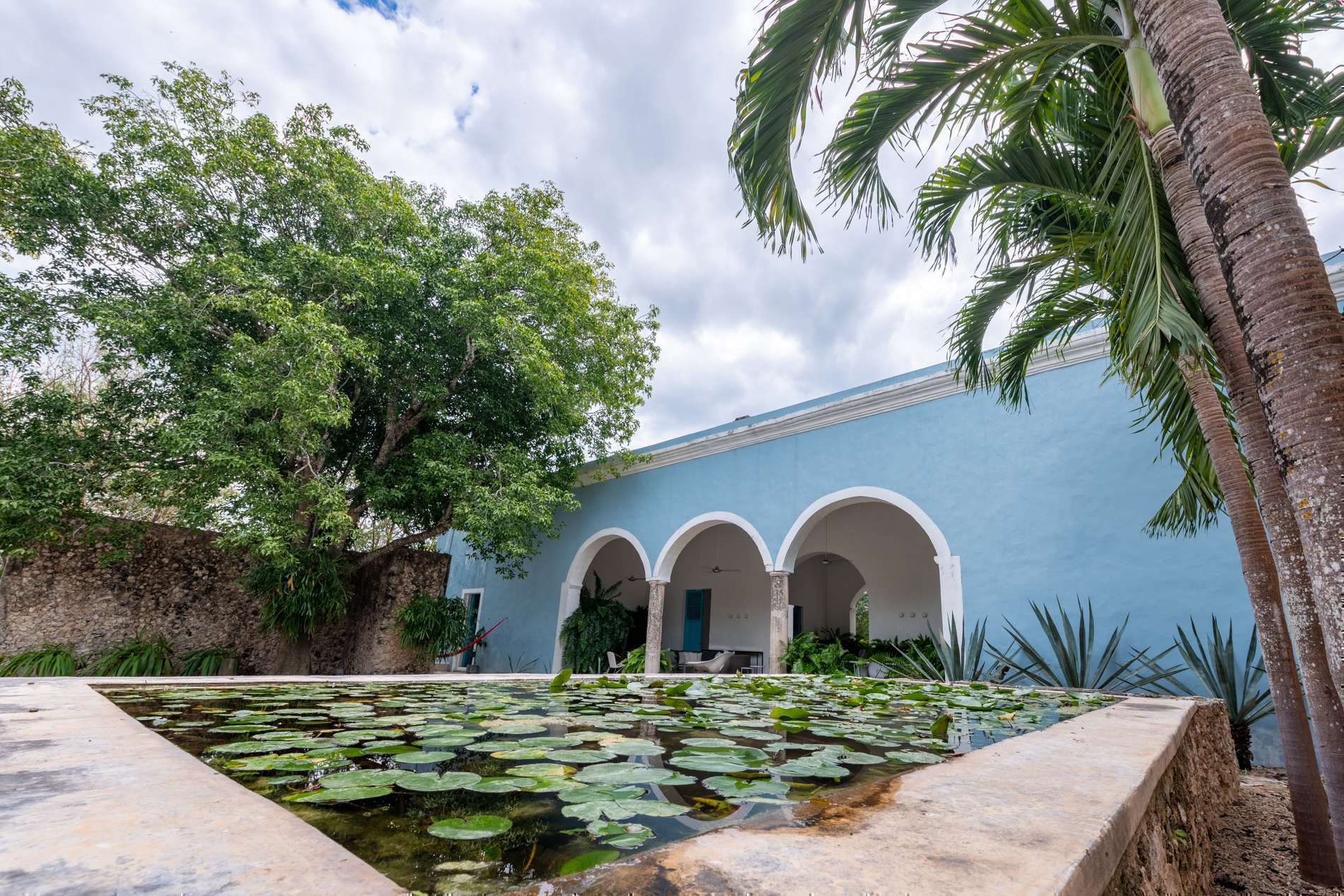 2 oasis